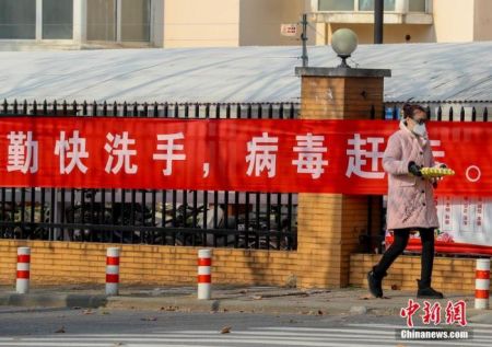 　　2月5日，湖北武汉经济技术开发区，一位市民外出采购蔬菜和食品。中新社记者 张畅 摄