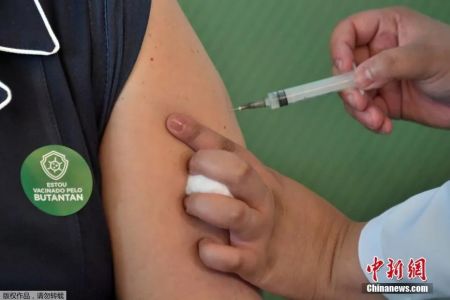 资料图：巴西首批新冠疫苗接种者接种中国疫苗。